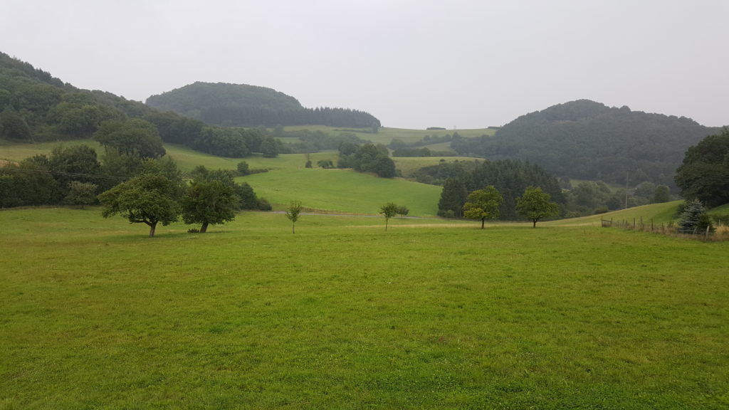 landscape_2
